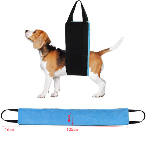 New Pet Products Dog Auxiliary Belt Pet Power