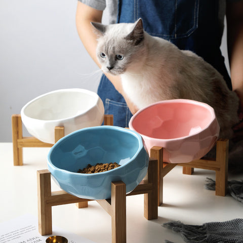 Pet oblique mouth cat bowl food