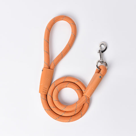 Dog Leash Small Dog Leash Pet Products P Chain