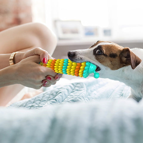 Natural Rubber Dog Toothbrush