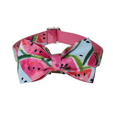 Watermelon Pet Supplies Dog Collar Pet Leash