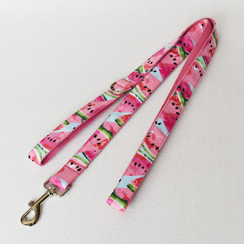 Watermelon Pet Supplies Dog Collar Pet Leash