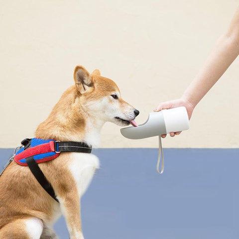 Pet Drinking Cup Pet Water Bottle