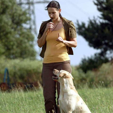 Dog Training WHISTLE Ultrasonic Two Packs