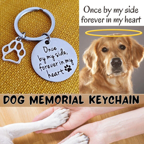 Loss Of Pet Memorial Keychain