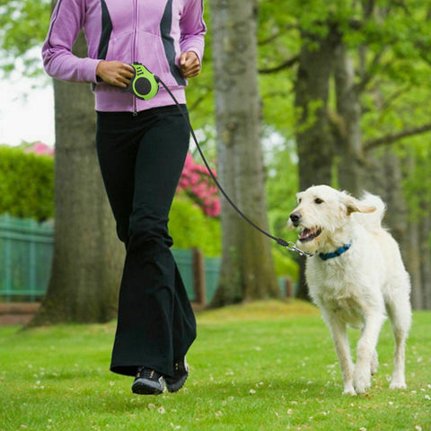 Automatic Retractable Dog Pet Collar