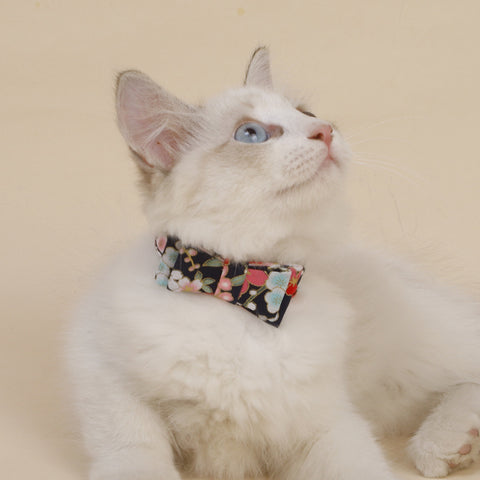 Three-dimensional bow pet cat accessories