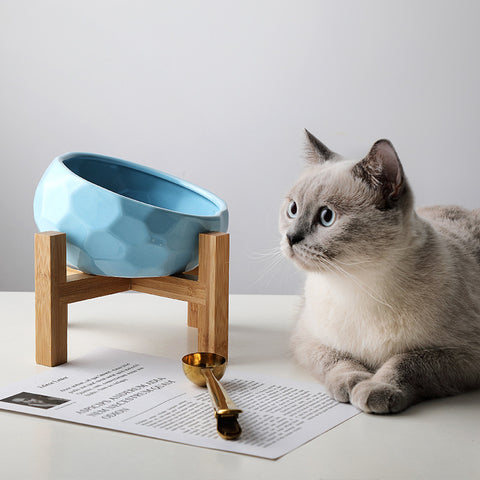 Pet oblique mouth cat bowl food