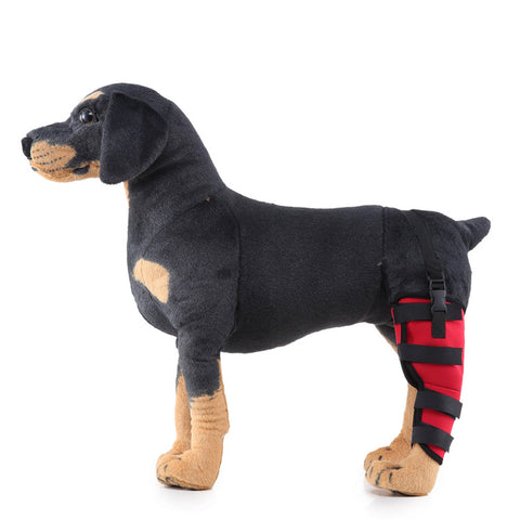 Leg rehabilitation foot support for pets