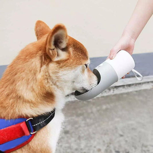 Pet Drinking Cup Pet Water Bottle