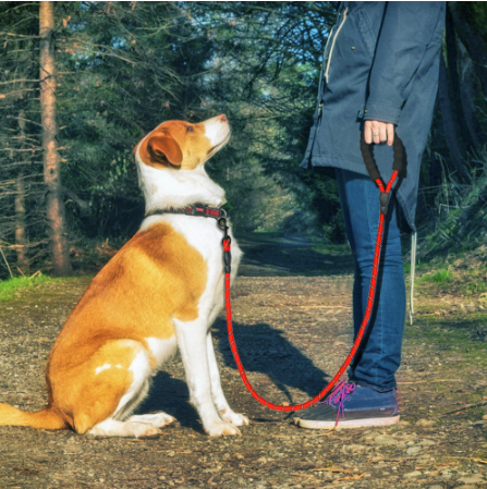 Reflective Dog Leash Nylon Pet