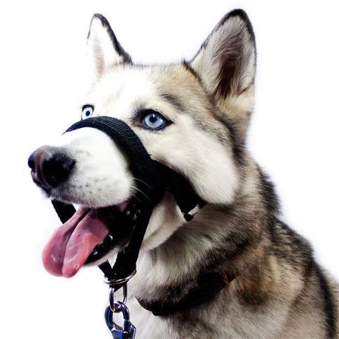 Dog Muzzle Adjustable Anti-bite Mask For Pets