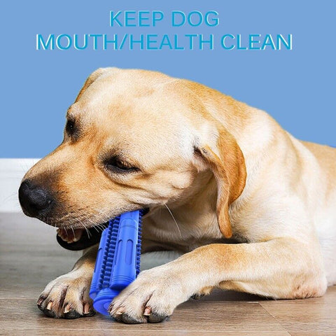 Pet Dog Chew Toy Toothbrush