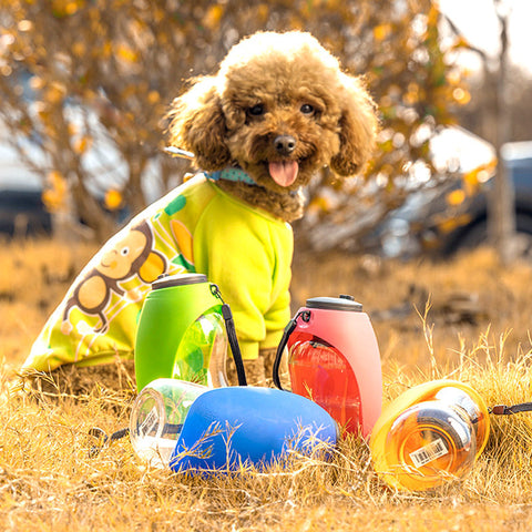 Pets Go Out And Drink With Cups