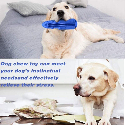 Pet Dog Chew Toy Toothbrush