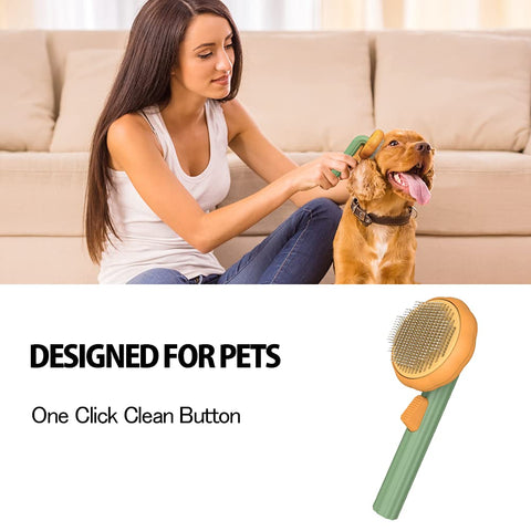 Pet Pumpkin Brush,