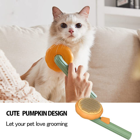 Pet Pumpkin Brush,