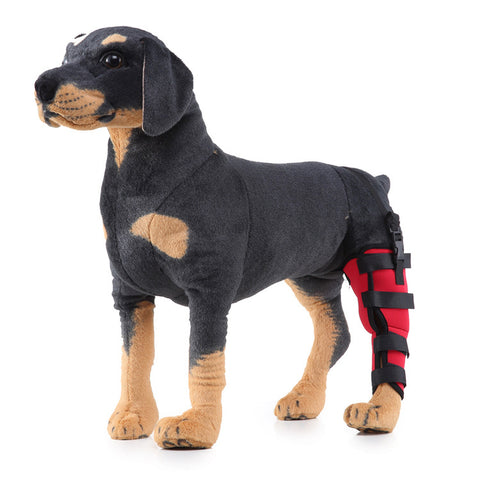 Leg rehabilitation foot support for pets