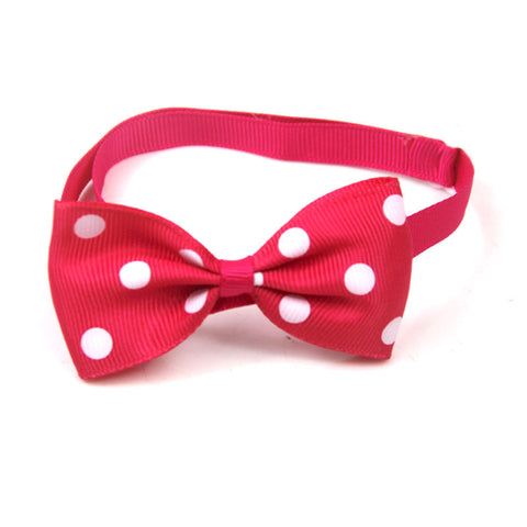 15 Colors Into Optional Pet Supplies Accessories Dot Bow