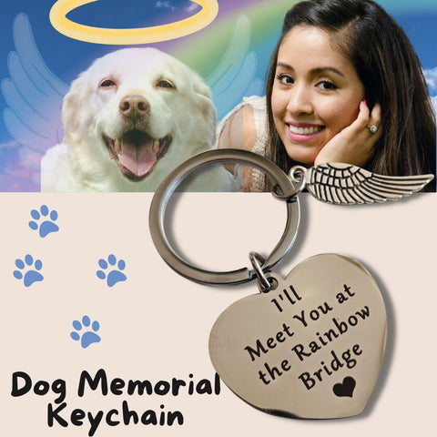 Loss Of Pet Memorial Keychain