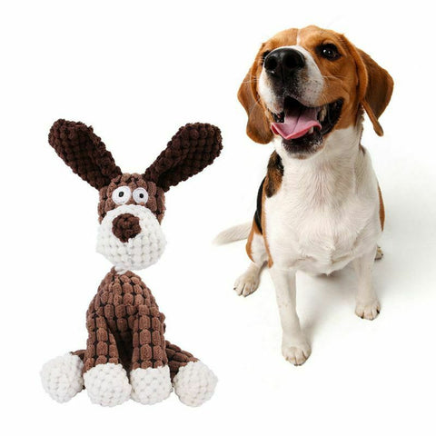 Dog Toy Play Funny Pet