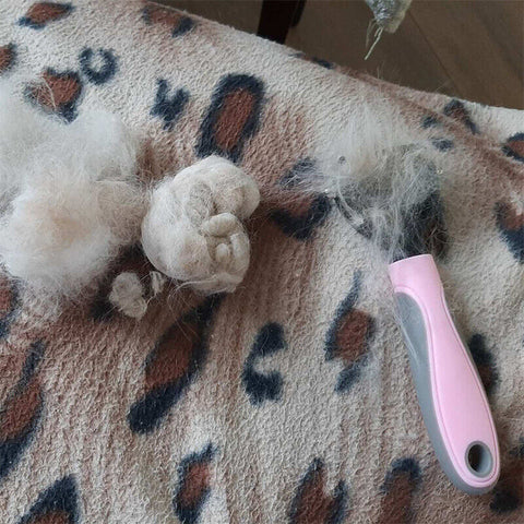 Grooming Brush For Pet Dog and Cat