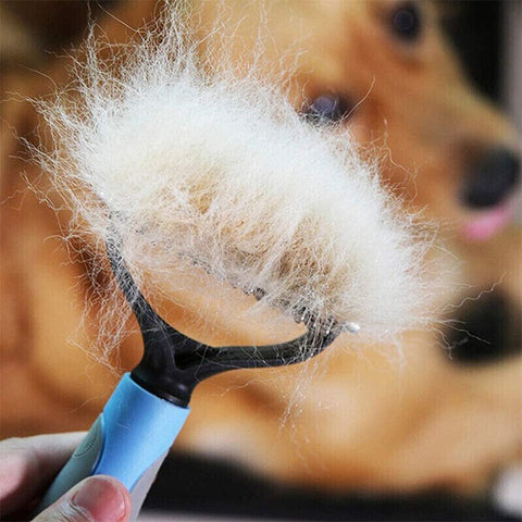 Grooming Brush For Pet Dog and Cat