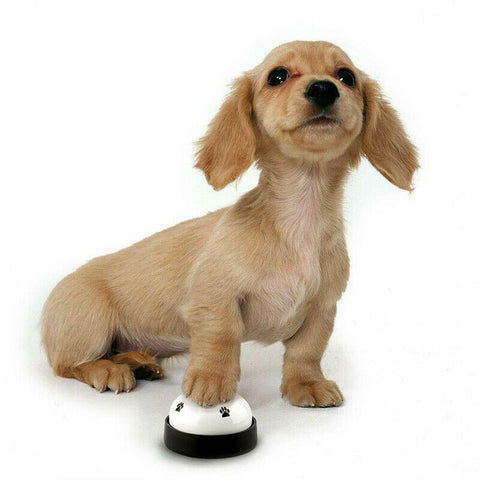 Pet Dog Cat Training Bell