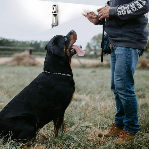 Dog Training WHISTLE Ultrasonic Two Packs