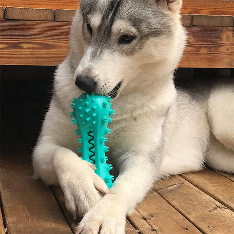 Pet Dog Cleaning Chew Toys