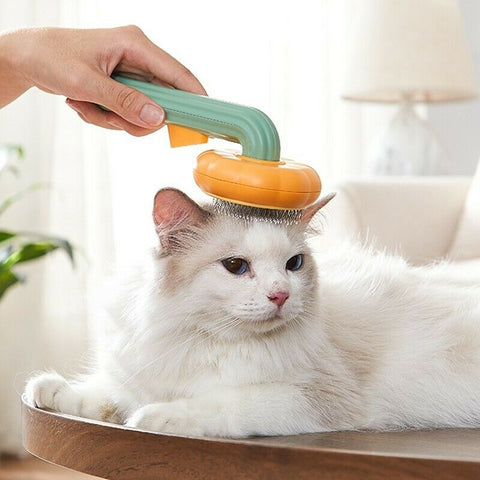 Pet Pumpkin Brush,