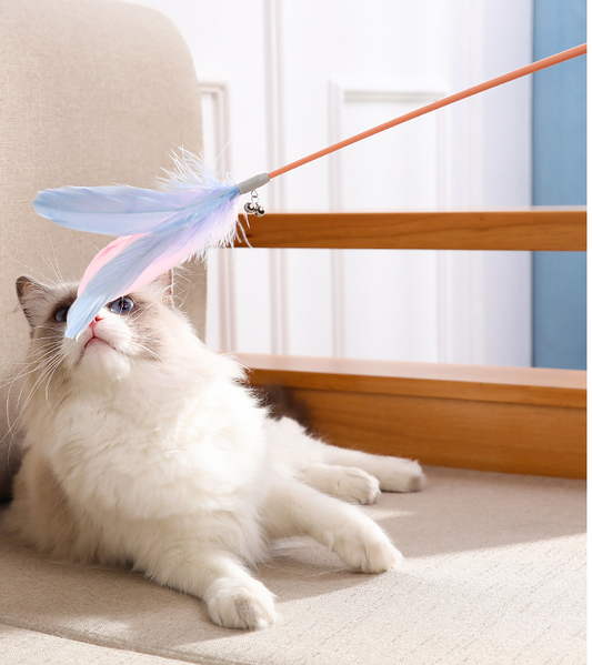 New Pet Cat Toy Products Feather Teasing  Stick